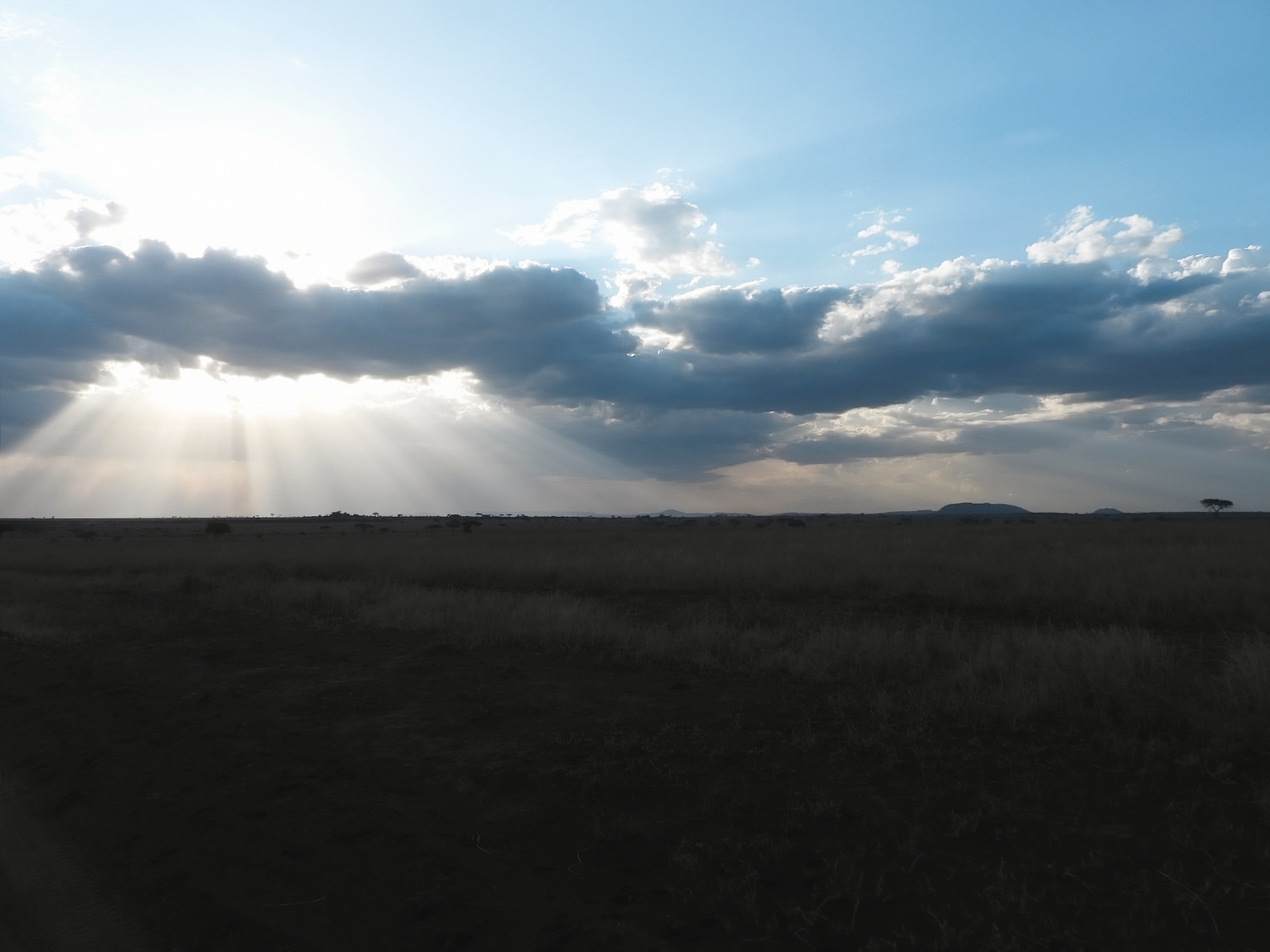 Sunbeams over the Serengeti