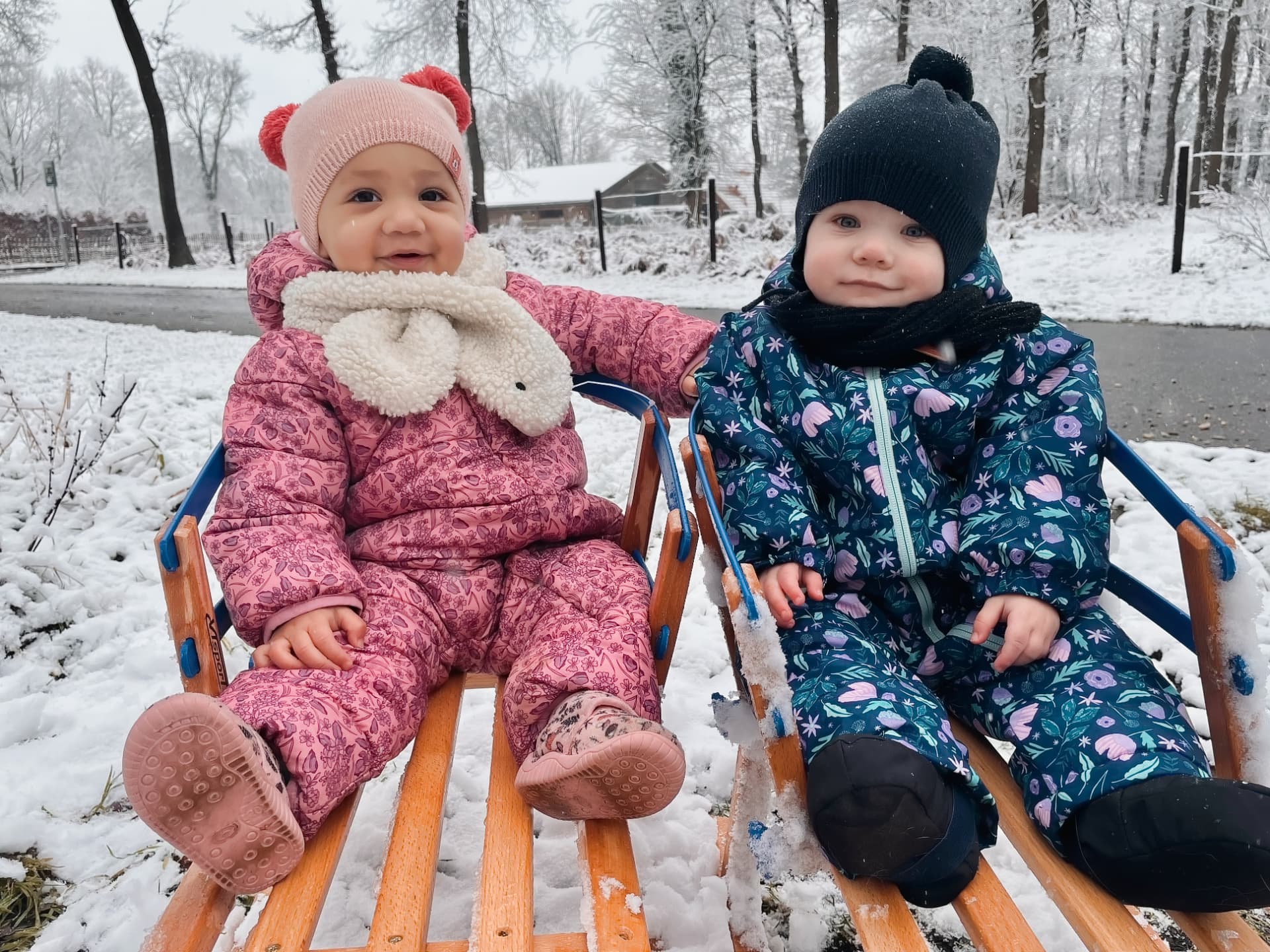 Sledging in the snow