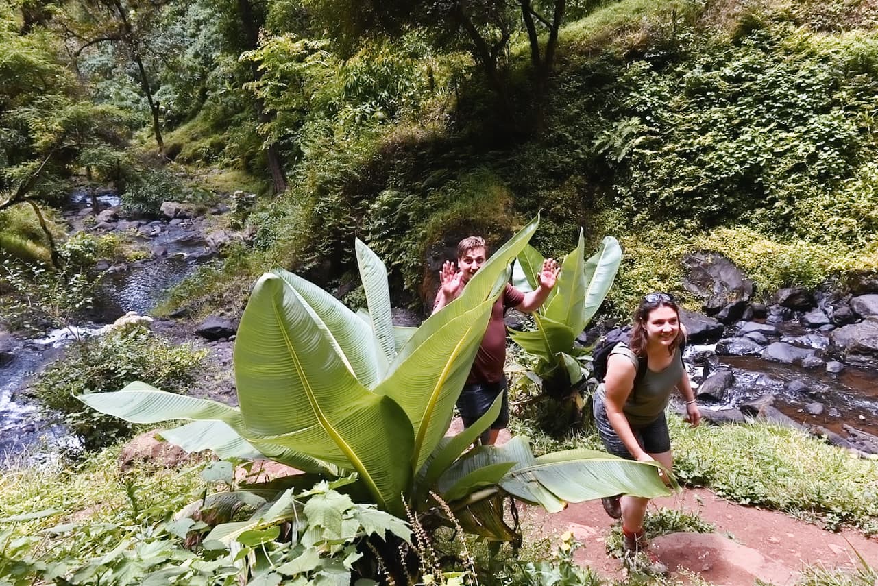 Hiking near Moshi