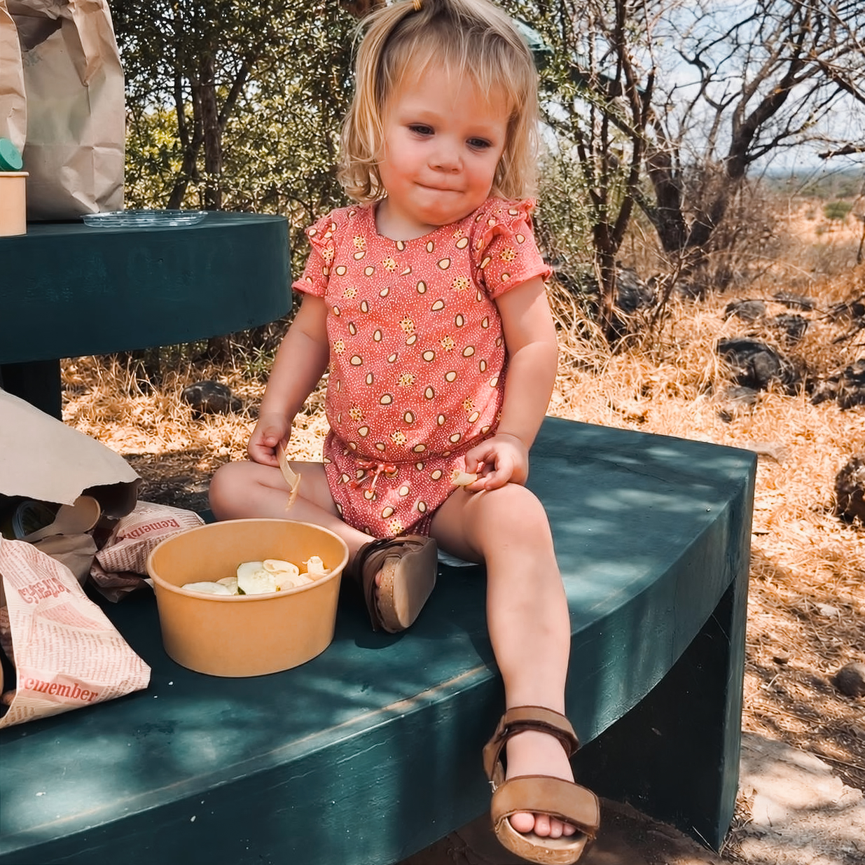 Lunch in Tarangire