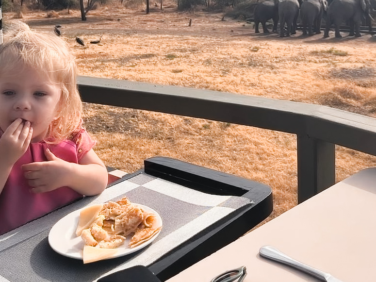 Breakfast with elephants in view