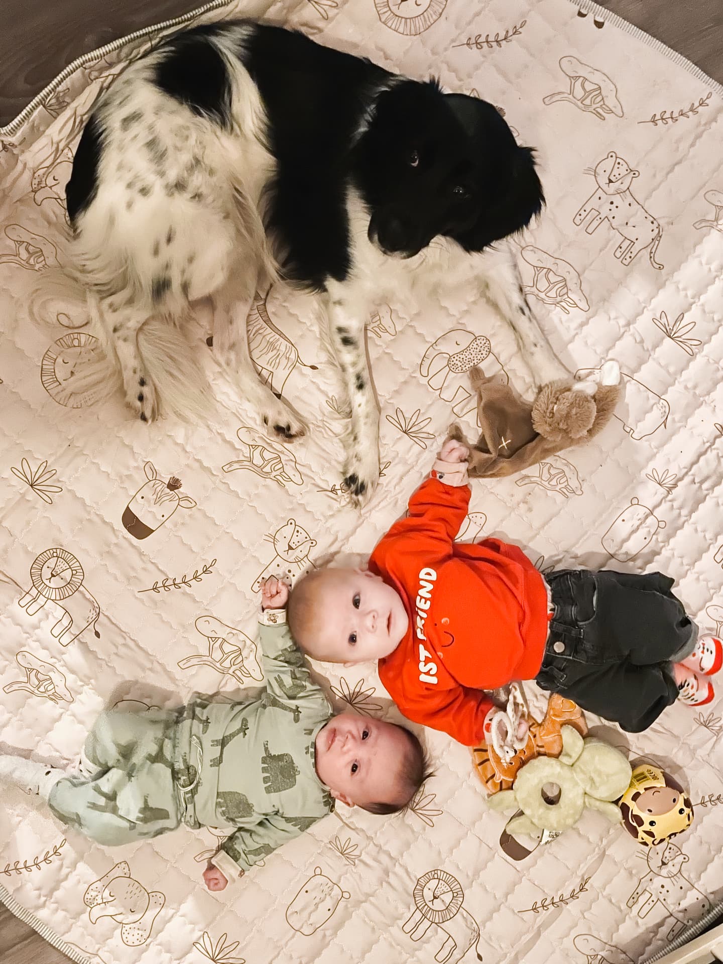 Puck keeping watch over the babies
