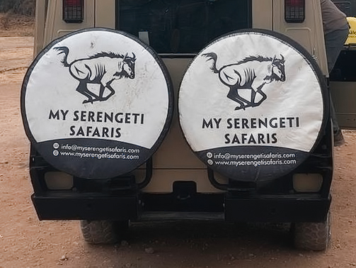 Wildebeest on the back of the jeep