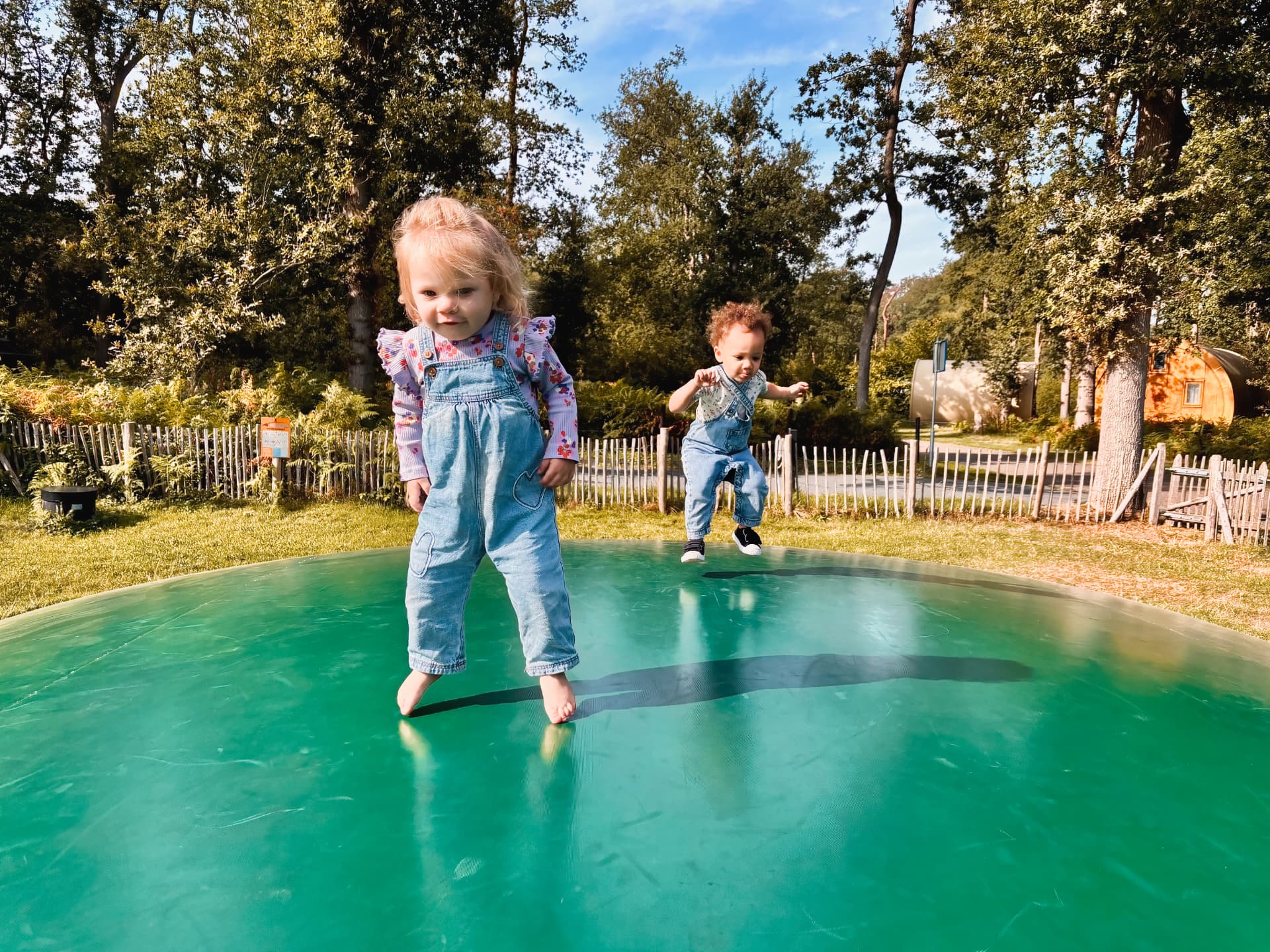 Bouncing on the trampoline