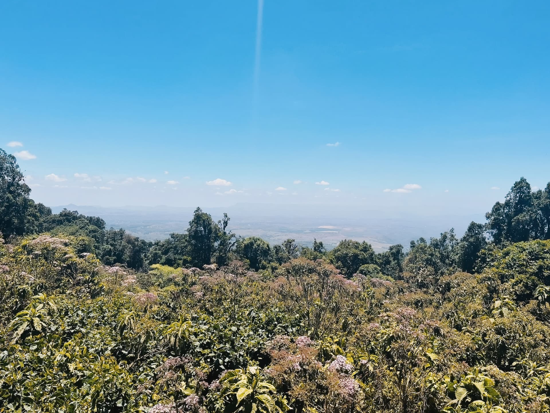 View over Karatu from the crater